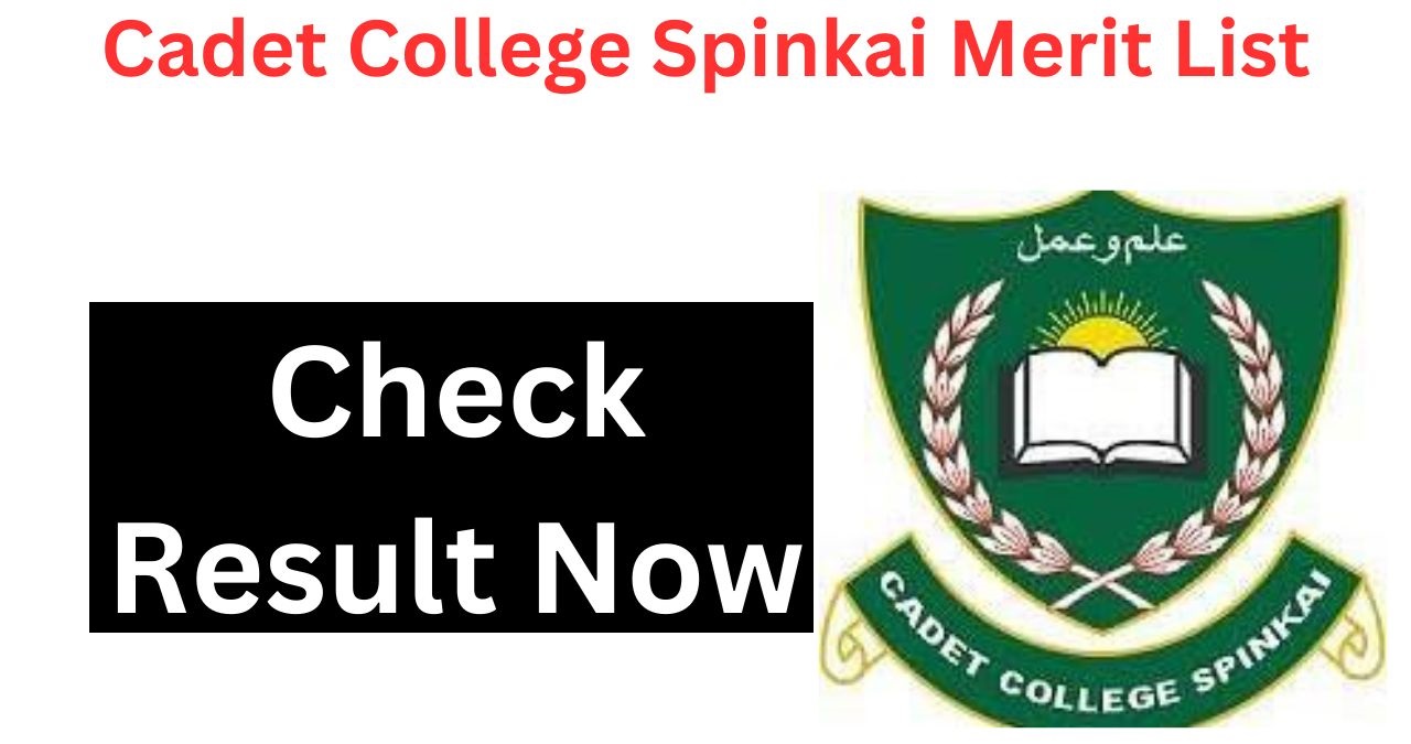 Cadet College Spinkai Entry Test Result 2024